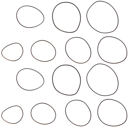 Replacement seals watch case - replacement,